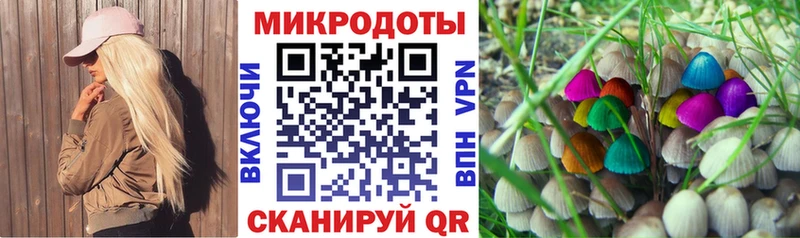 Псилоцибиновые грибы прущие грибы  Светогорск 