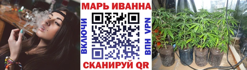 купить наркоту  Светогорск  Канабис индика 